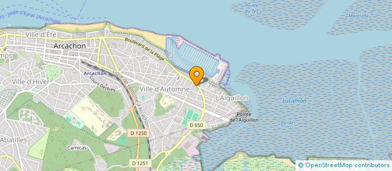 localisation de l'entreprise SCI L AIGUILLONNAISE  ARCACHON