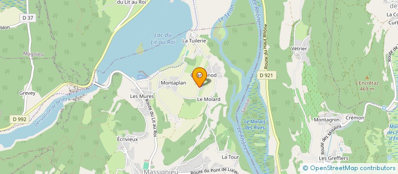 localisation de l'entreprise SCI L ARVIERE  MASSIGNIEU-DE-RIVES