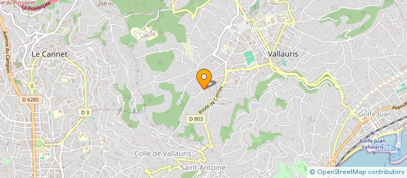 localisation de l'entreprise SCI L'ESPACE à VALLAURIS