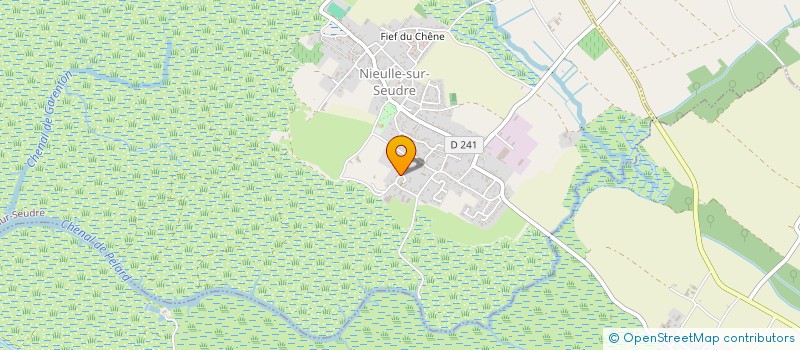 localisation de l'entreprise SCI LA CABANE DE MAILLARD  NIEULLE-SUR-SEUDRE