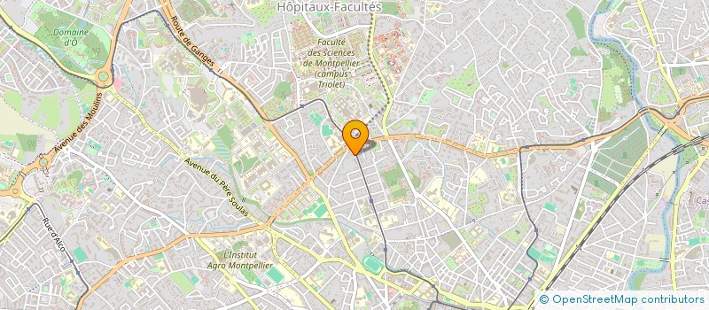 localisation de l'entreprise SCI LA COLLINE à MONTPELLIER