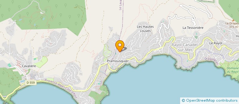 localisation de l'entreprise SCI LA CORNICHE DES PINS à RAYOL-CANADEL-SUR-MER