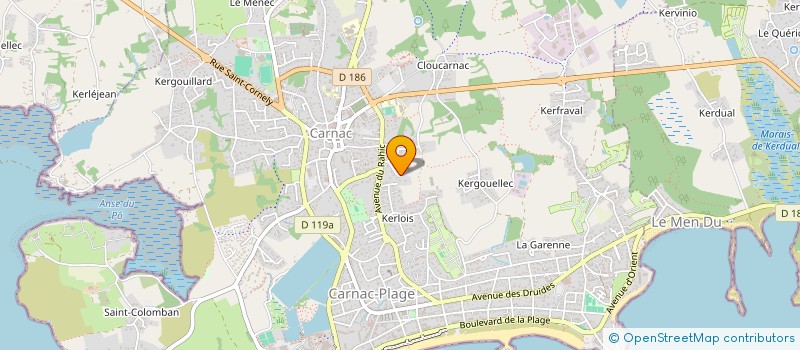 localisation de l'entreprise SCI LA MAUVE 2009  CARNAC