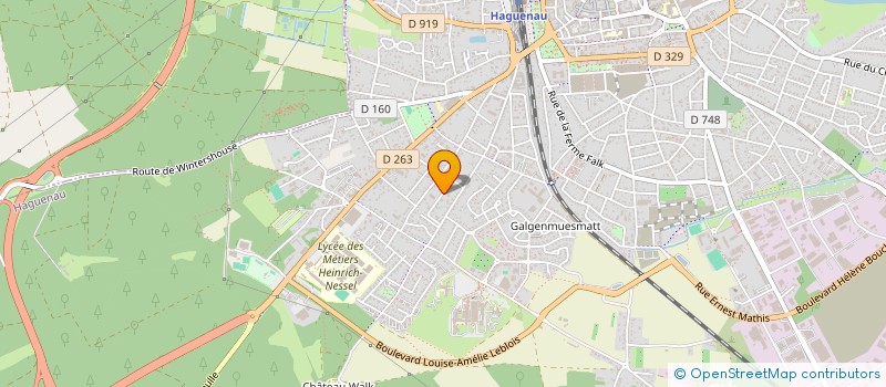 localisation de l'entreprise SCI LA PALMERAIE  HAGUENAU