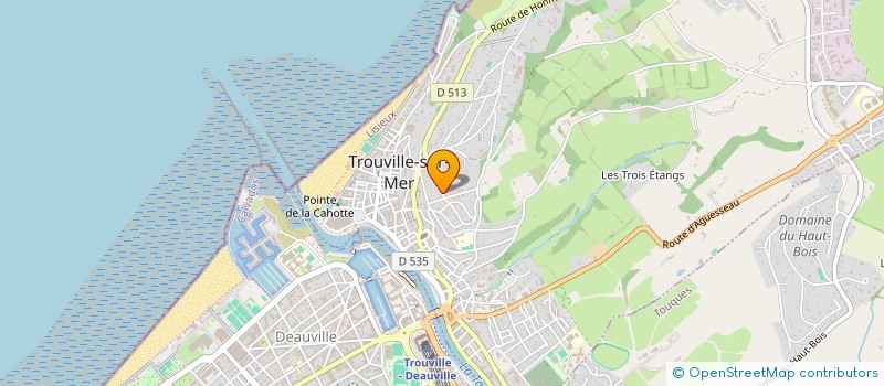 localisation de l'entreprise SCI LA POULE DOREE à TROUVILLE-SUR-MER