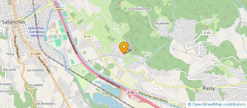 localisation de l'entreprise SCI LA TORPEDO à SALLANCHES
