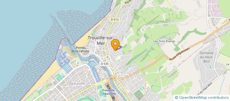 localisation de l'entreprise SCI LA TROUVILLAISE-LE CAMELEON à TROUVILLE-SUR-MER