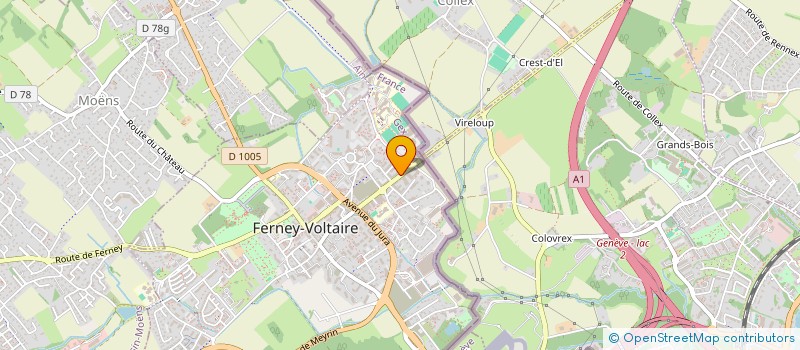 localisation de l'entreprise SCI LDGTI à FERNEY-VOLTAIRE