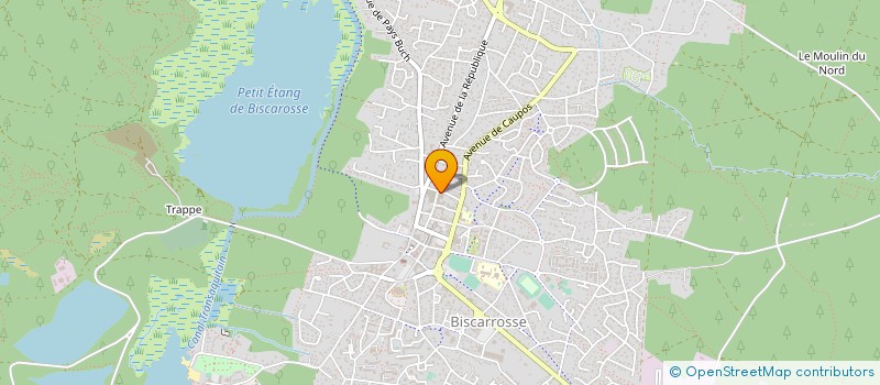 localisation de l'entreprise SCI LE DAUPHIN  BISCARROSSE