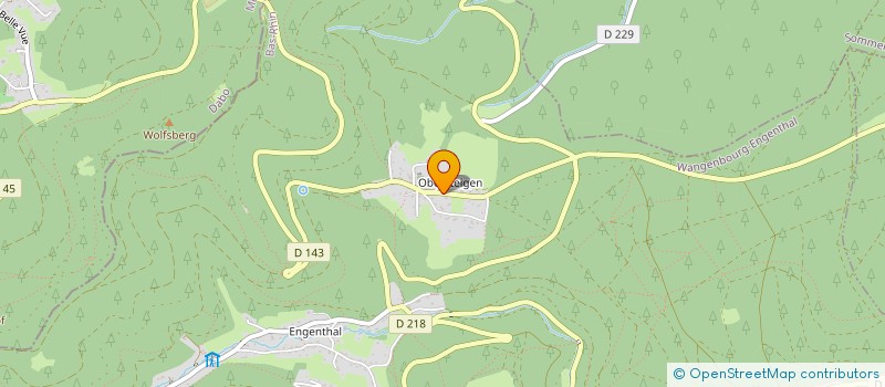 localisation de l'entreprise SCI LE GRAPPE DES CINQ  WANGENBOURG-ENGENTHAL