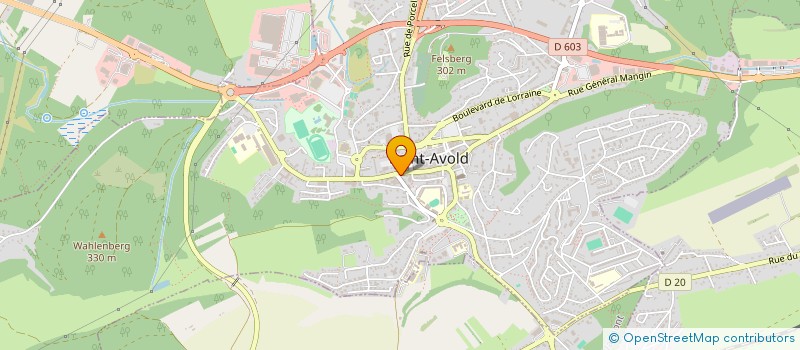 localisation de l'entreprise SCI LE HOME DU COMBATTANT  SAINT-AVOLD