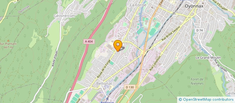 localisation de l'entreprise SCI LE MICHELET  BELLIGNAT