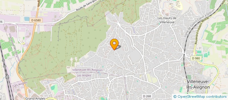 localisation de l'entreprise SCI LE MONTAGNE  VILLENEUVE-LES-AVIGNON