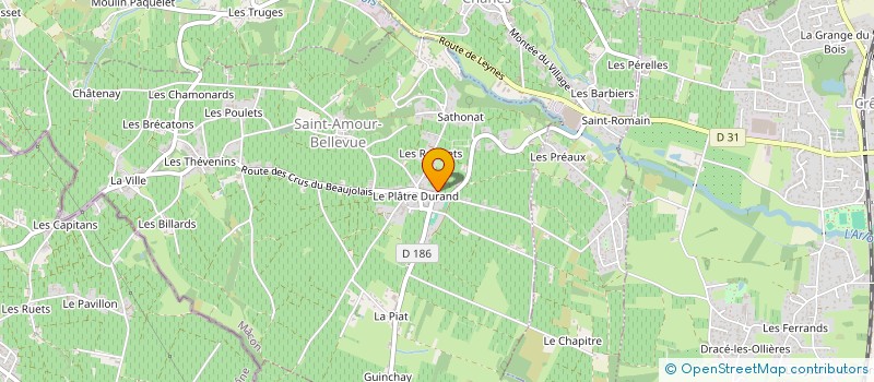 localisation de l'entreprise SCI LE PARADIS D'A COTE  SAINT-AMOUR-BELLEVUE