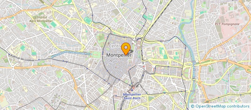 localisation de l'entreprise SCI LE POURPIER à MONTPELLIER