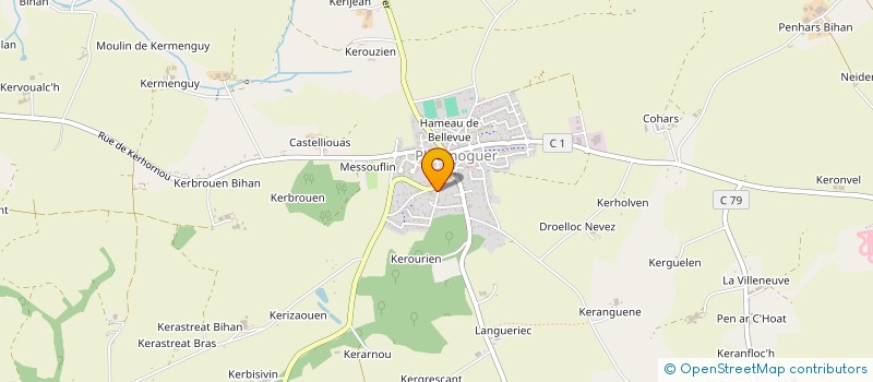 localisation de l'entreprise SCI LE ROY  PLOUMOGUER