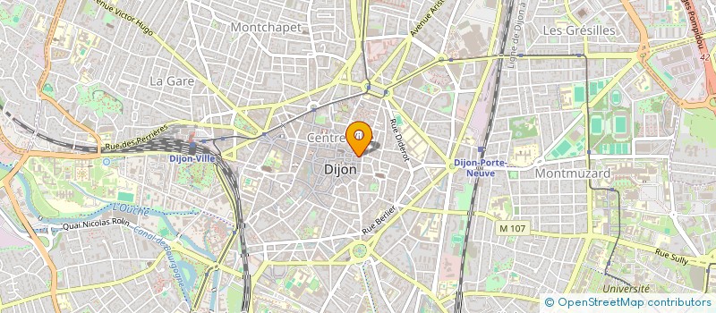 localisation de l'entreprise SCI LE TERRIER à DIJON