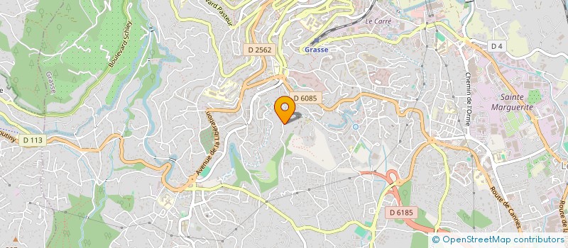 localisation de l'entreprise SCI LE VALLON DES TILLEULS  GRASSE