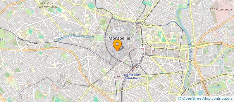 localisation de l'entreprise SCI LE VERGER à MONTPELLIER