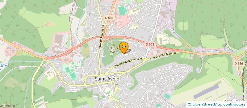 localisation de l'entreprise SCI LEFELS  SAINT-AVOLD