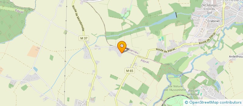 localisation de l'entreprise SCI LENATTI  PIBRAC