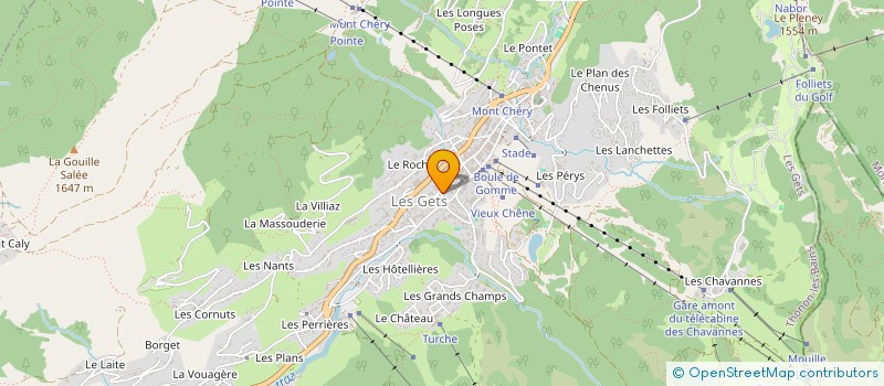 localisation de l'entreprise SCI LEO DUTRUEL 1  LES GETS