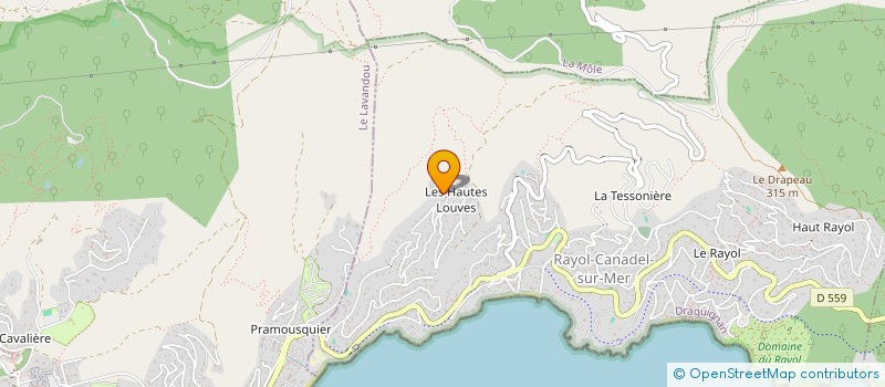 localisation de l'entreprise SCI LES 2 RIVES à RAYOL-CANADEL-SUR-MER