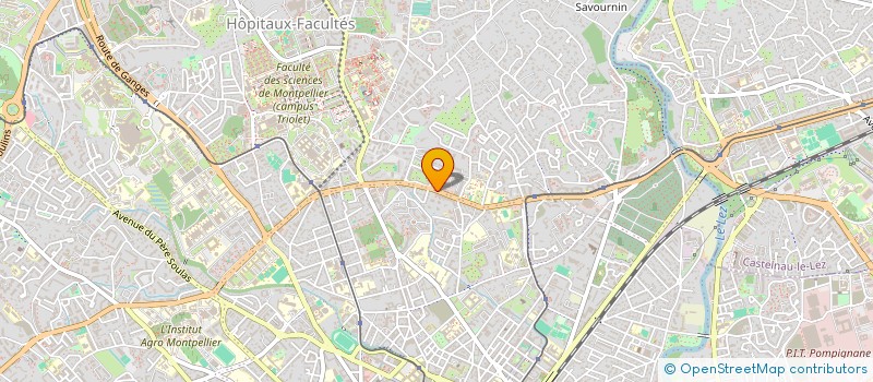 localisation de l'entreprise SCI LES AMARYLLIS à MONTPELLIER