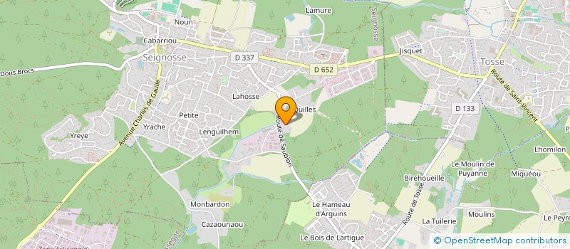 localisation de l'entreprise SCI LES BOULEAUX  SEIGNOSSE