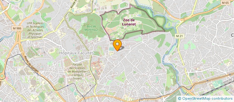 localisation de l'entreprise SCI LES CAMELIAS à MONTPELLIER