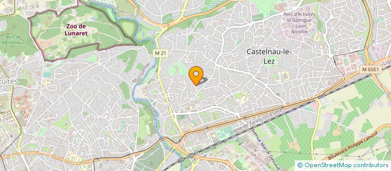 localisation de l'entreprise SCI LES CERISIERS à CASTELNAU-LE-LEZ