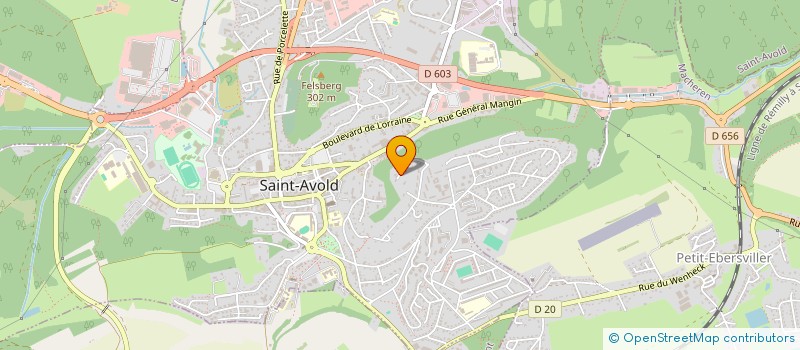 localisation de l'entreprise SCI LES CHENES  SAINT-AVOLD