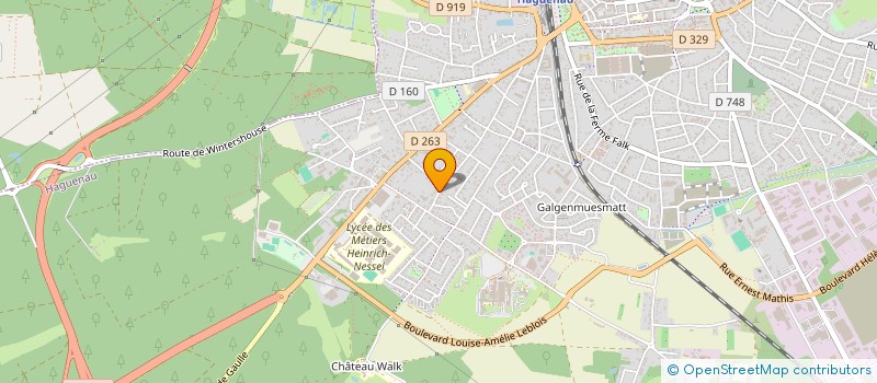 localisation de l'entreprise SCI LES CIGOGNEAUX 2  HAGUENAU