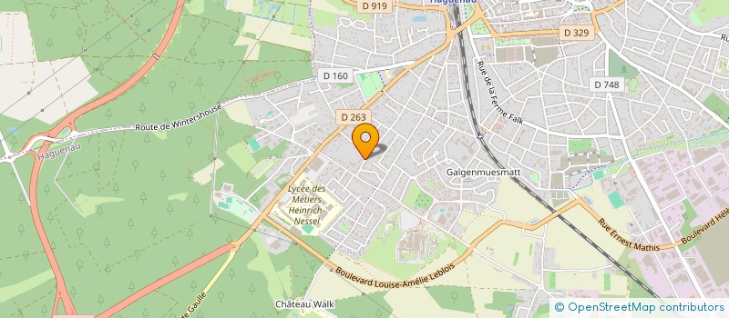 localisation de l'entreprise SCI LES CIGOGNEAUX 4  HAGUENAU