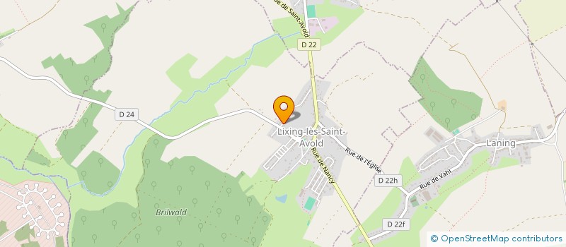 localisation de l'entreprise SCI LES DAHLIAS  LIXING-LES-SAINT-AVOLD