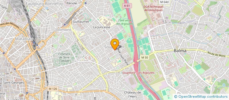 localisation de l'entreprise SCI LES DOUDOUS  TOULOUSE