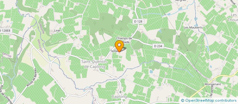 localisation de l'entreprise SCI LES EMERAUDES  SAINT-QUENTIN-DE-CAPLONG