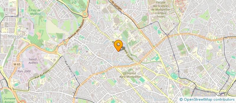 localisation de l'entreprise SCI LES FLAMANTS à MONTPELLIER