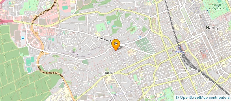 localisation de l'entreprise SCI LES FLAMBOYANTS  NANCY