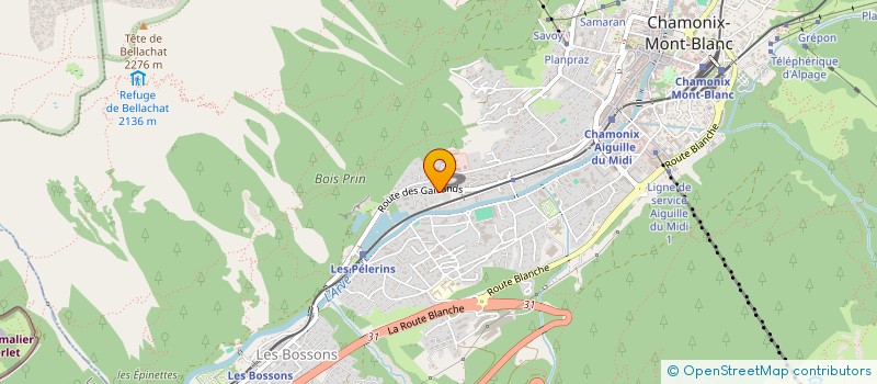 localisation de l'entreprise SCI LES GAILLANDS à CHAMONIX-MONT-BLANC
