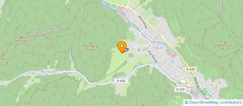 localisation de l'entreprise SCI LES HESPERIDES  BUHL