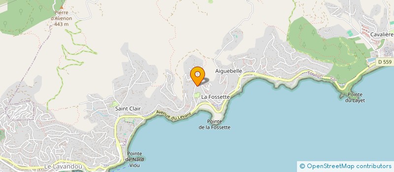 localisation de l'entreprise SCI LES LAVANDES à LE LAVANDOU