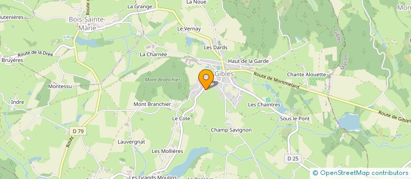 localisation de l'entreprise SCI LES MAGNINS  SAINT-LAURENT-EN-BRIONNAIS