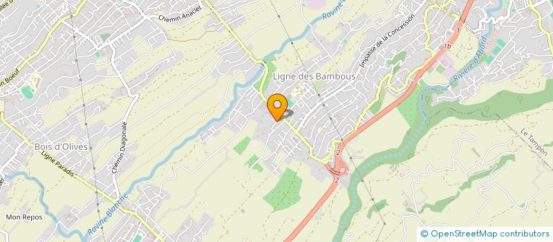 localisation de l'entreprise SCI LES NYPAS à SAINT-PIERRE