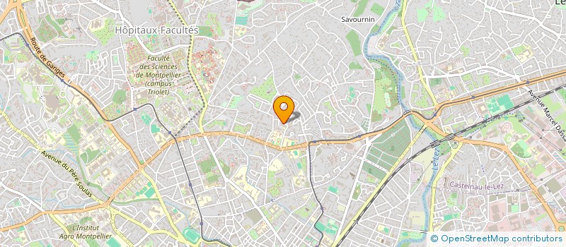 localisation de l'entreprise SCI LES OLIVIERS à MONTPELLIER