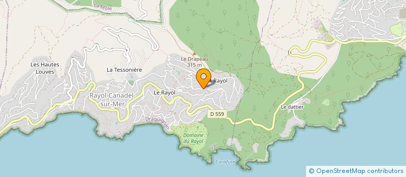 localisation de l'entreprise SCI LES OLIVIERS DU RAYOL à RAYOL-CANADEL-SUR-MER