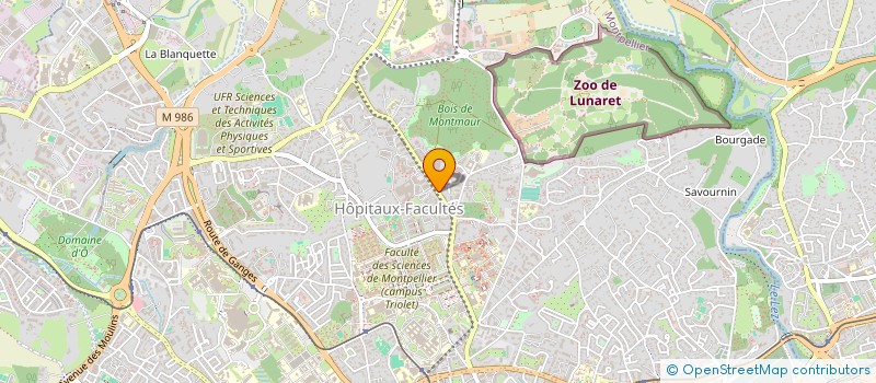 localisation de l'entreprise SCI LES OLIVIERS ROMAINES à MONTPELLIER