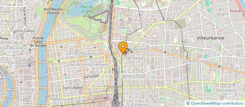 localisation de l'entreprise SCI LES OPTIMISTES  LYON