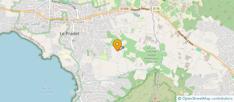 localisation de l'entreprise SCI LES PALMIERS  LE PRADET