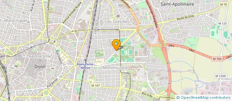 localisation de l'entreprise SCI LES PALMIERS à DIJON